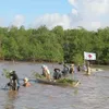 Sóc Trăng forest co-management model helps protect mangroves, improve locals’ incomes