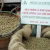 Coffee price crisis hits Vietnamese export value