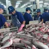 Export of tra fish expected to reach $2.06 billion this year