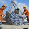 Việt Nam gains record in cement exports