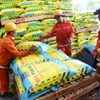 Petrochemical fertiliser firm reports slight drop in 2019 revenue, but profit gains sharply