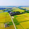 Agricultural land market still an obstacle for enterprises