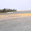 Fishermen flounder with sea gate sand deposits