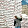 Senegal a potential market for Vietnamese rice