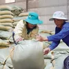 Vietnam rice exports to the Philippines reached over US$1 billion