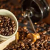 Conference discusses opportunity for Vietnam to become leading coffee market