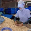 Vietnam’s exports to Cambodia up 16.7% in eight months