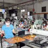 Vietnam takes measures to stem export downturn