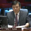 Vietnam calls for efforts in tackling illicit trade in small arms, light weapons