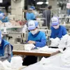 Vietnam exports over 15 million medical masks in August