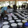 Vietnam’s rubber export to US sees sharp surge