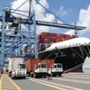 Export market records positive signs