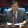 Vietnam calls on international community to expand support for DR Congo