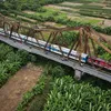 Long Bien bridge: An unforgettable place for locals and tourists