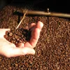 Spain increases imports of Vietnamese coffee