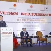 NA Chairman addresses Vietnam-India Business Forum