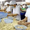 Vietnamese cashew nuts see many prospects in German market