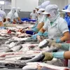 Tra fish export forecast to hit 1.54 billion USD in 2021