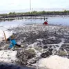 Aquaculture output grows 4.17 percent to 4.75 million tonnes