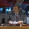 Vietnam completes all targets at UNSC: Ambassador