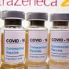 Vietnam to receive 60 million doses of COVID-19 vaccine in 2021