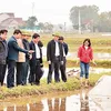 PM approves over VND89 billion to support five disaster-hit localities