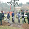 Tree planting festival launched in Hanoi