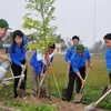 Promoting the implementation of tree-planting festival