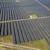 Vietnam among top three leading nations in renewable energy shift in Asia Pacific