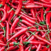 Vietnam’s export of fresh chillies to China approved