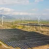 Vietnam’s biggest wind power plant operational