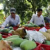 Ministry targets 650 million USD from mango exports by 2030