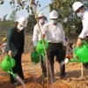 Nationwide response to tree planting festivals