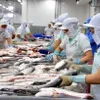 Sustainably developing the fisheries sector