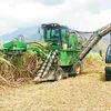 New opportunities for sugar industry