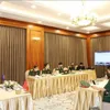 Vietnam attends virtual ADSOM+ Working Group conference