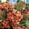 Efforts to accelerate fruit exports to China