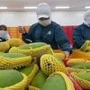 Fruit, vegetables exports to hit US$4 billion