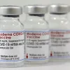 Vietnam conditionally approves COVID-19 Vaccine Moderna