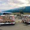 190,000 COVID-19 quick test kits arrive in Vietnam from Germany