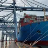 Container cargo via seaports up 18%