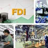 Green economic development crucial to FDI attraction