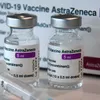 Germany donates 2.5 million AstraZeneca vaccine doses to Viet Nam