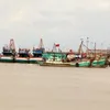 Ben Tre invests in building ports, storm shelters for fishing vessels