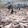 VASEP requests support for seafood exporters