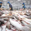 Tra fish exports to US, China rise in March