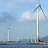 Vietnam looks to master technology in renewable energy