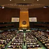 Vietnam elected to UN Human Rights Council