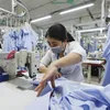 Vietnamese textile exports reach record-high