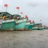 Vietnam making utmost efforts to tackle IUU fishing: Deputy PM